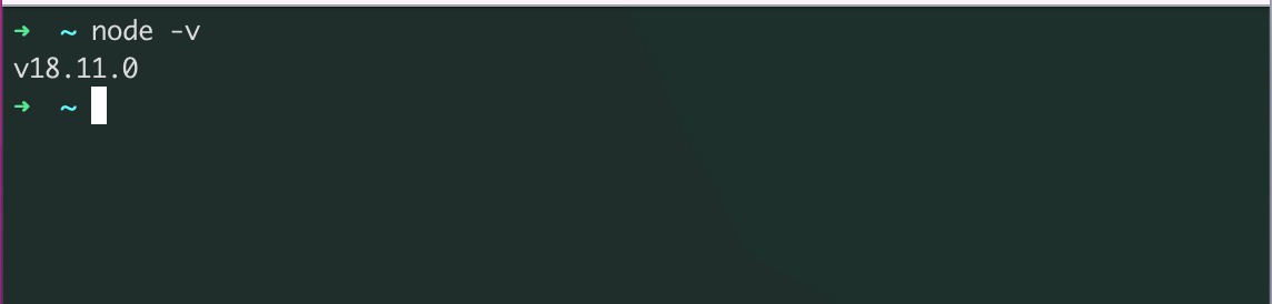 nodejs version displayed in terminal command prompt